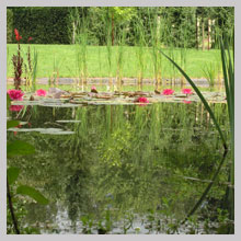 Espace jardin cration - Pice d'eau et tang